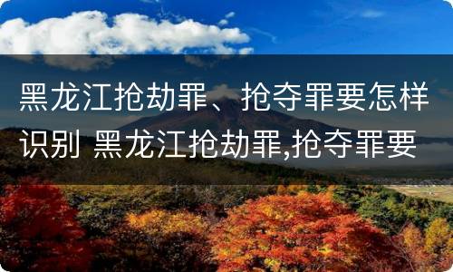 黑龙江抢劫罪、抢夺罪要怎样识别 黑龙江抢劫罪,抢夺罪要怎样识别证据