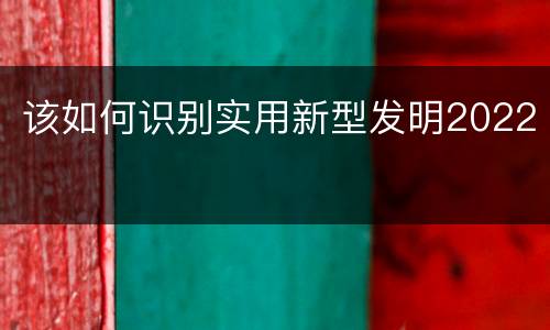 该如何识别实用新型发明2022