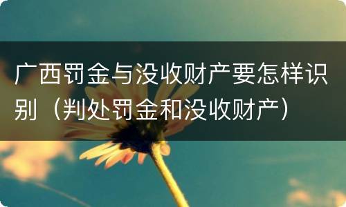 广西罚金与没收财产要怎样识别（判处罚金和没收财产）