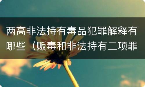 两高非法持有毒品犯罪解释有哪些（贩毒和非法持有二项罪名吗）