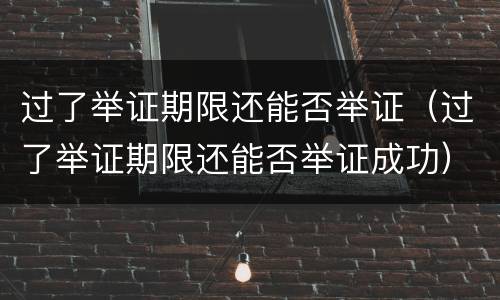 过了举证期限还能否举证（过了举证期限还能否举证成功）