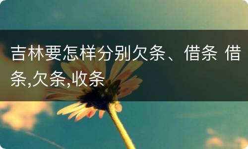 吉林要怎样分别欠条、借条 借条,欠条,收条