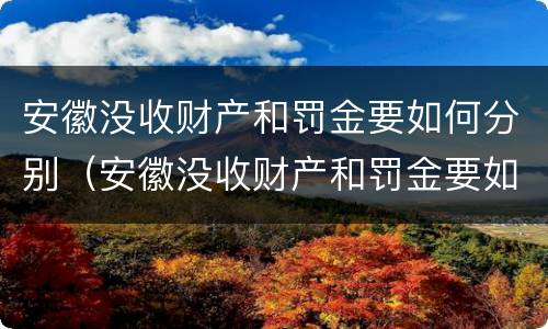 安徽没收财产和罚金要如何分别（安徽没收财产和罚金要如何分别缴纳）