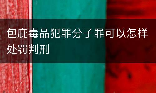 包庇毒品犯罪分子罪可以怎样处罚判刑