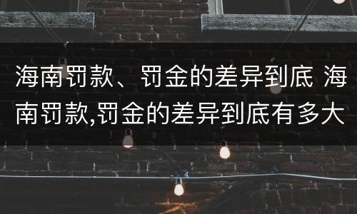 海南罚款、罚金的差异到底 海南罚款,罚金的差异到底有多大