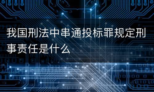 我国刑法中串通投标罪规定刑事责任是什么