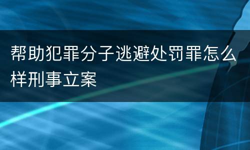 帮助犯罪分子逃避处罚罪怎么样刑事立案
