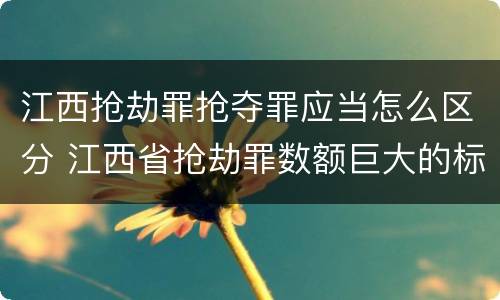 江西抢劫罪抢夺罪应当怎么区分 江西省抢劫罪数额巨大的标准