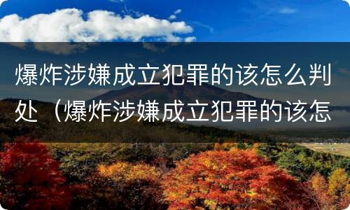 爆炸涉嫌成立犯罪的该怎么判处（爆炸涉嫌成立犯罪的该怎么判处呢）