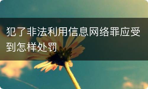 犯了非法利用信息网络罪应受到怎样处罚