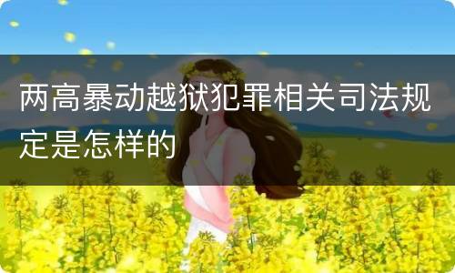 两高暴动越狱犯罪相关司法规定是怎样的