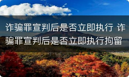 诈骗罪宣判后是否立即执行 诈骗罪宣判后是否立即执行拘留