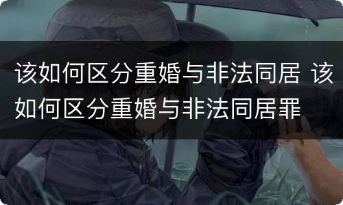 该如何区分重婚与非法同居 该如何区分重婚与非法同居罪