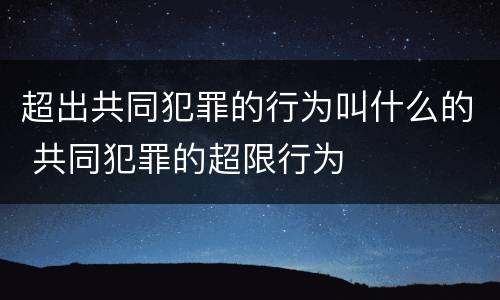 超出共同犯罪的行为叫什么的 共同犯罪的超限行为