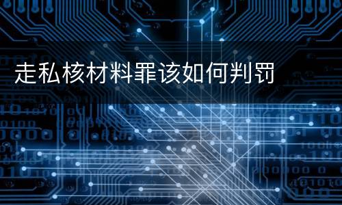 走私核材料罪该如何判罚