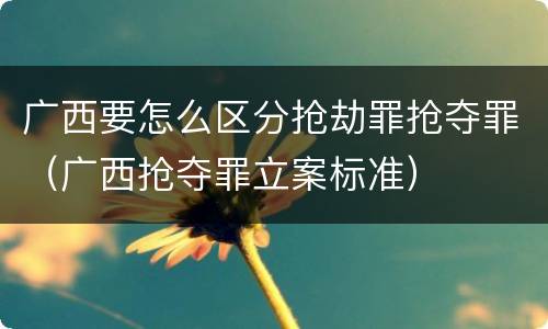 广西要怎么区分抢劫罪抢夺罪（广西抢夺罪立案标准）