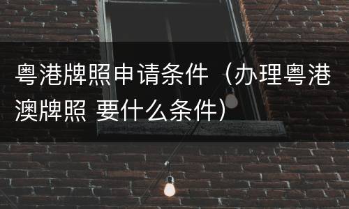 粤港牌照申请条件（办理粤港澳牌照 要什么条件）