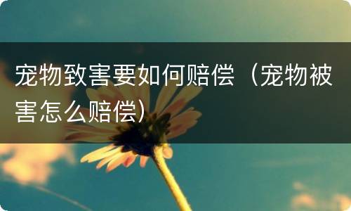 宠物致害要如何赔偿（宠物被害怎么赔偿）