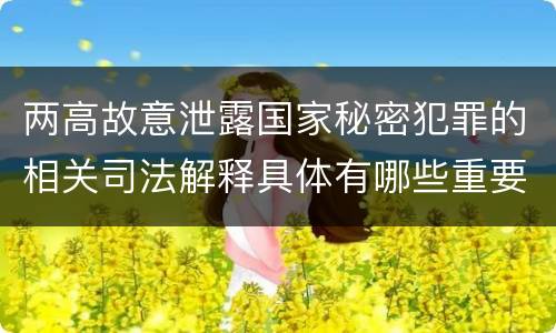 两高故意泄露国家秘密犯罪的相关司法解释具体有哪些重要规定