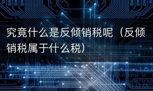 究竟什么是反倾销税呢（反倾销税属于什么税）