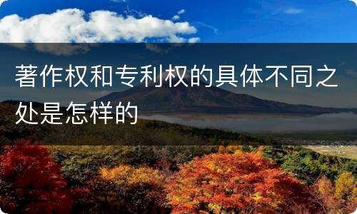 著作权和专利权的具体不同之处是怎样的
