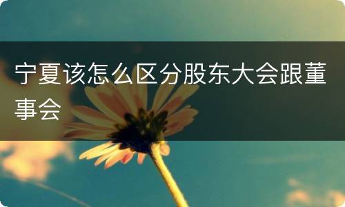 宁夏该怎么区分股东大会跟董事会