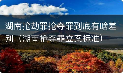 湖南抢劫罪抢夺罪到底有啥差别（湖南抢夺罪立案标准）
