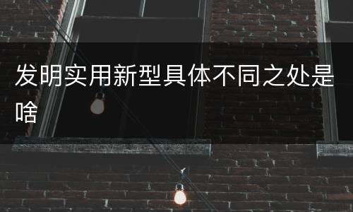发明实用新型具体不同之处是啥