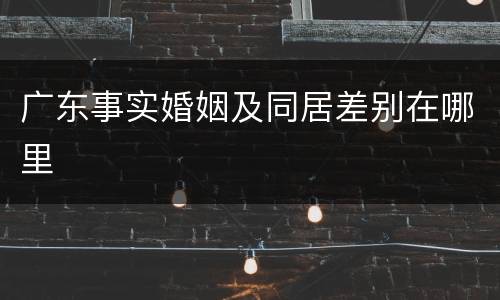 广东事实婚姻及同居差别在哪里