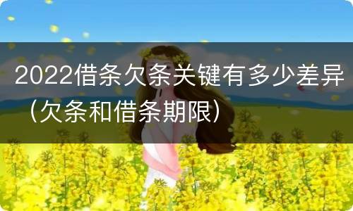 2022借条欠条关键有多少差异（欠条和借条期限）