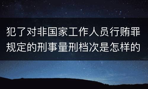 犯了对非国家工作人员行贿罪规定的刑事量刑档次是怎样的