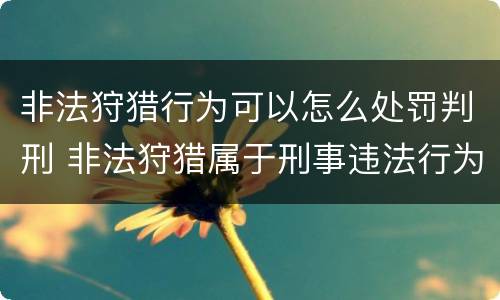非法狩猎行为可以怎么处罚判刑 非法狩猎属于刑事违法行为吗