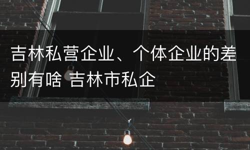 吉林私营企业、个体企业的差别有啥 吉林市私企