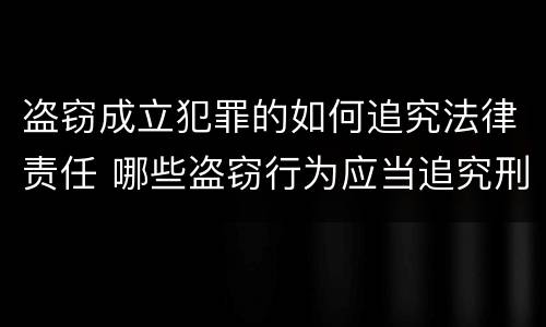 盗窃成立犯罪的如何追究法律责任 哪些盗窃行为应当追究刑事责任