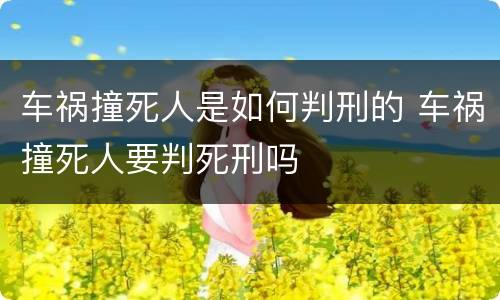车祸撞死人是如何判刑的 车祸撞死人要判死刑吗