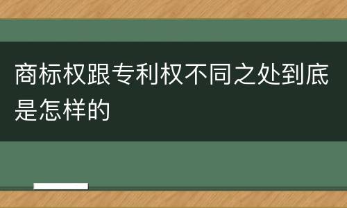 商标权跟专利权不同之处到底是怎样的