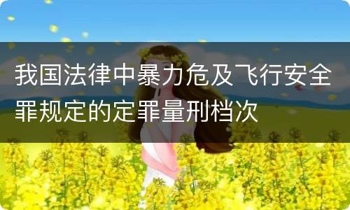 我国法律中暴力危及飞行安全罪规定的定罪量刑档次