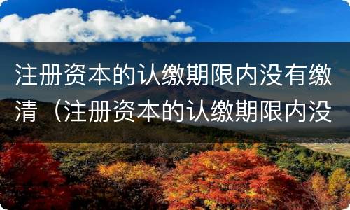 注册资本的认缴期限内没有缴清（注册资本的认缴期限内没有缴清会怎么样）