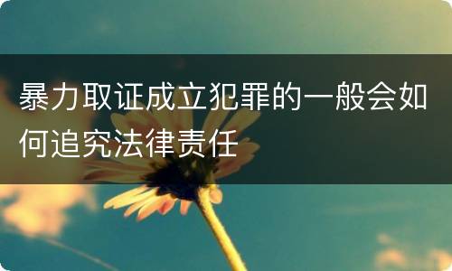 暴力取证成立犯罪的一般会如何追究法律责任