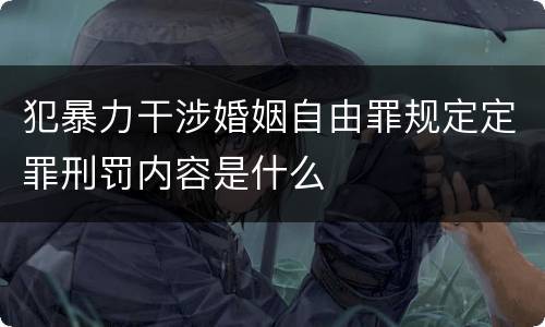 犯暴力干涉婚姻自由罪规定定罪刑罚内容是什么