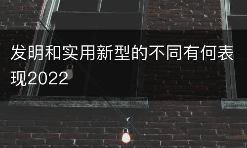发明和实用新型的不同有何表现2022