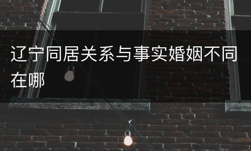辽宁同居关系与事实婚姻不同在哪