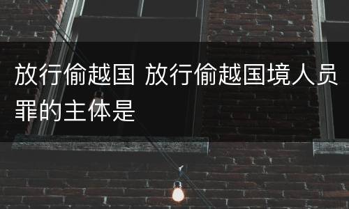 放行偷越国 放行偷越国境人员罪的主体是