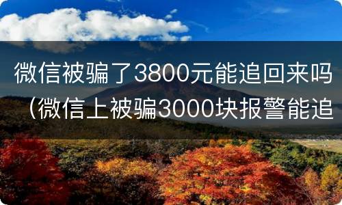 微信被骗了3800元能追回来吗（微信上被骗3000块报警能追回来吗?）