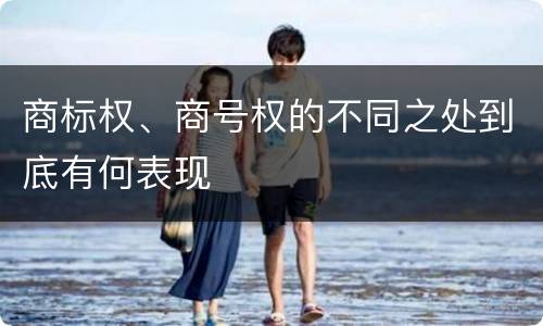 商标权、商号权的不同之处到底有何表现