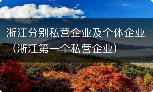 浙江分别私营企业及个体企业（浙江第一个私营企业）