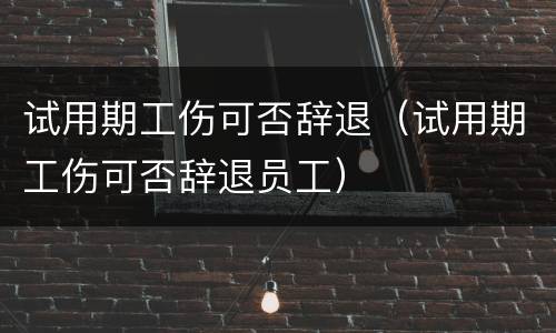 试用期工伤可否辞退（试用期工伤可否辞退员工）