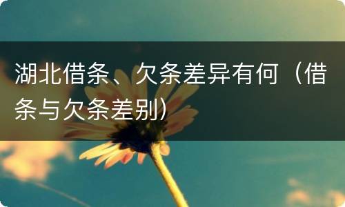 湖北借条、欠条差异有何（借条与欠条差别）