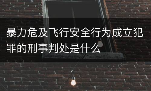 暴力危及飞行安全行为成立犯罪的刑事判处是什么