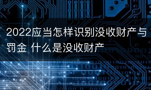 2022应当怎样识别没收财产与罚金 什么是没收财产